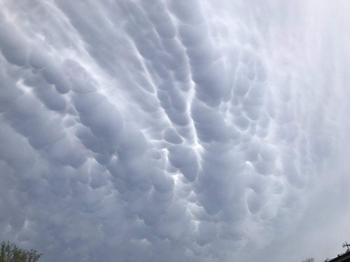 Jason Shea tweet media