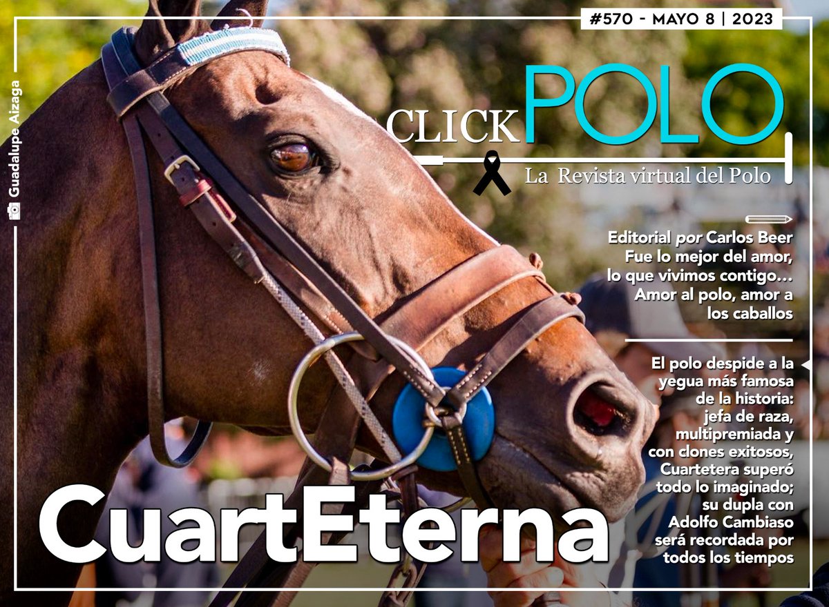 clickpolo's tweet photo. REVISTA CLICKPOLO 570!!! 
Tapa: CuartEterna!! Despedimos como se merece, con honores, a la mejor yegua de la historia. Además, todo el Mundial de Arena que ganó Francia, los torneos de Argentina y mucho más... 
CLICK en https://t.co/dhC5KPyvpJ

@ACambiasoOK @asocdepolo https://t.co/ge3A2fGlDf