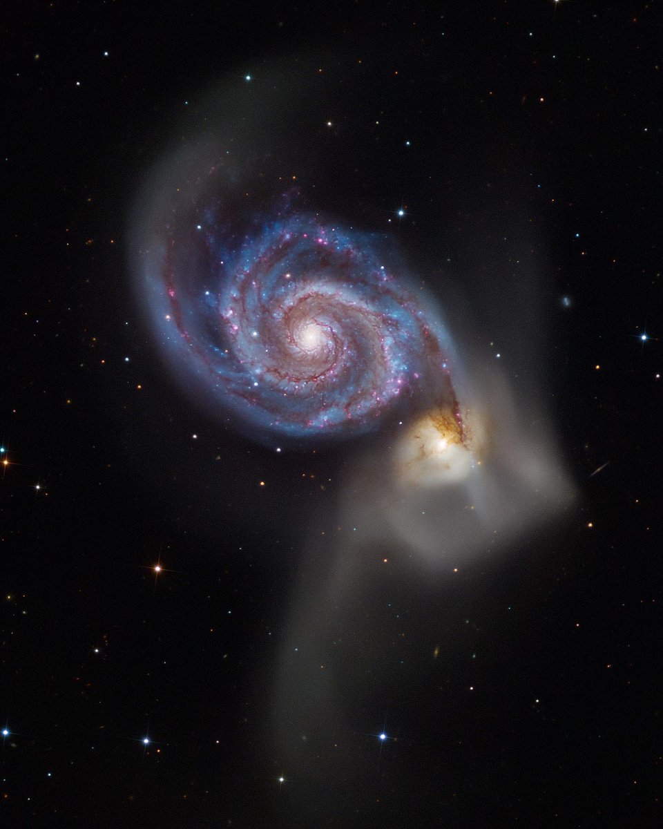 Bray Falls tweet media