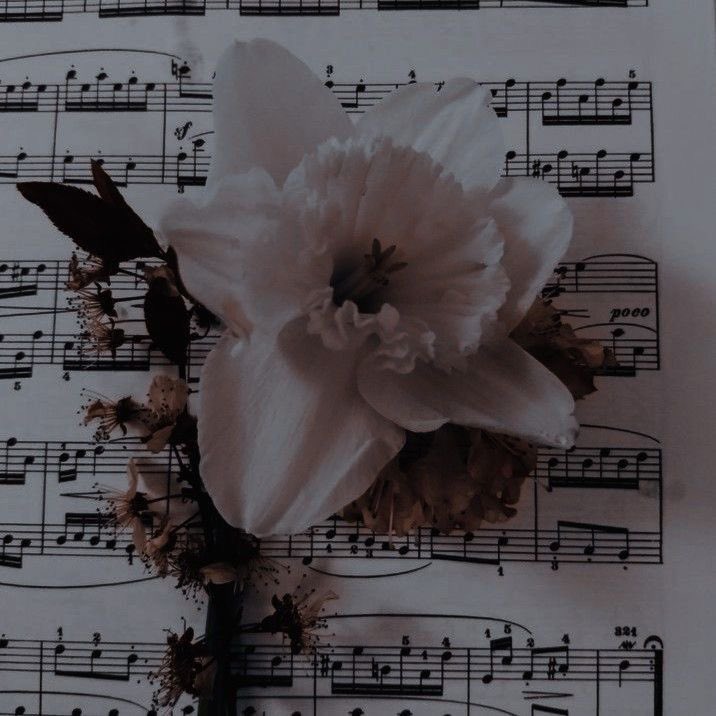 .
.
.

" توقّفْت عن #المبادرة، فانقطع التواصل."🤎💭