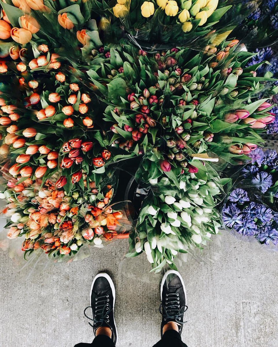 #NYC y u cry? Cheer up 💐