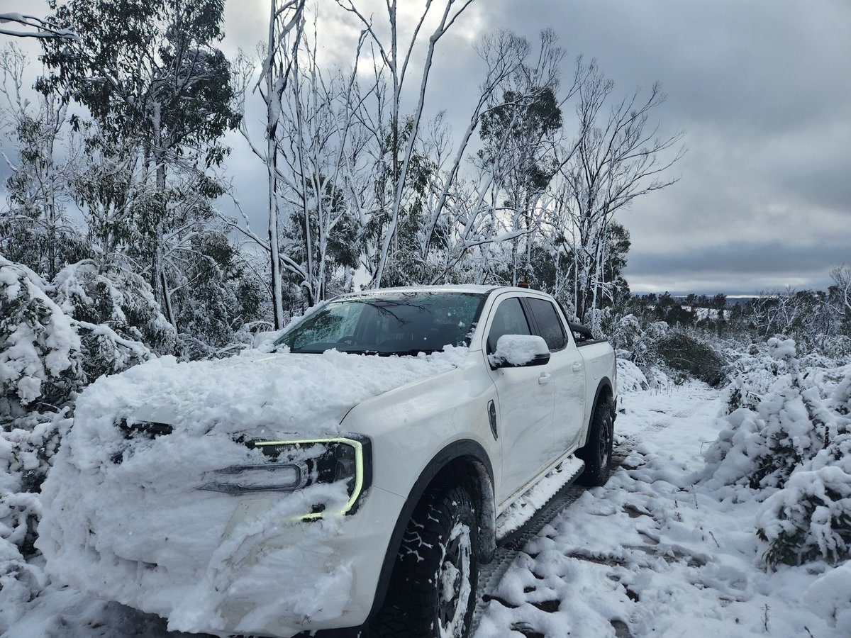 Mick Callan tweet media