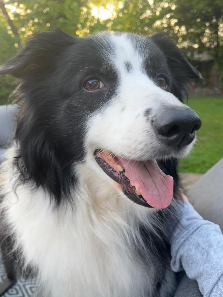 Dave Johnson tweet media