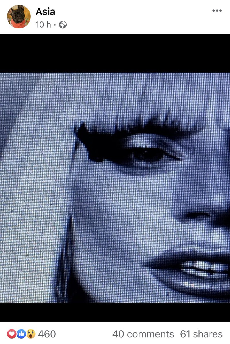 wavesneverseen's tweet image. Lady Gaga appears to be teasing new visuals from her dog's old facebook account. Should this be an indicator that ARTPOP Act 2 is coming? 🤔

BUY ARTPOP ON ITUNES 
#ARTPOPACTii