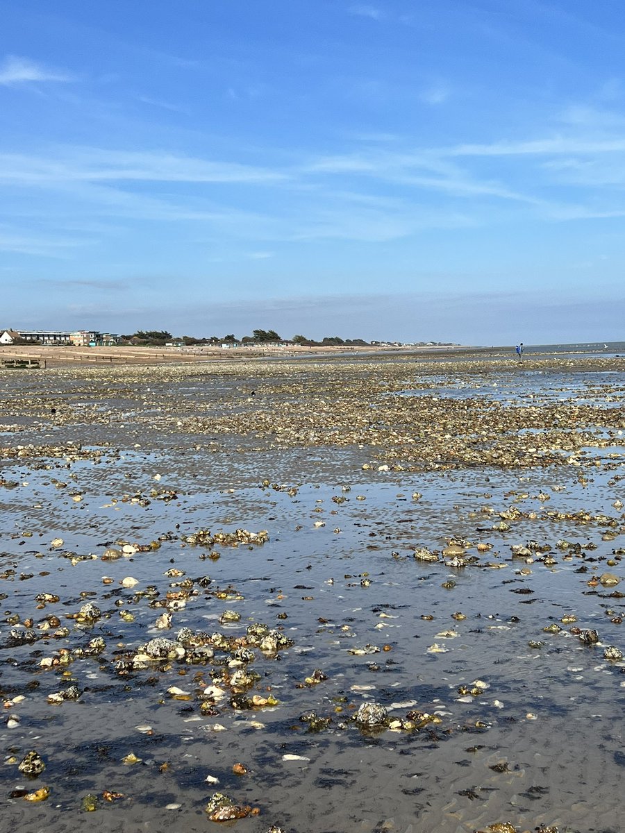 MrJWhistle's tweet photo. Last minute trip to Rustington for a dog walk and family R&amp;R. Lovely afternoon in the sun! https://t.co/4fDMjFSsuI