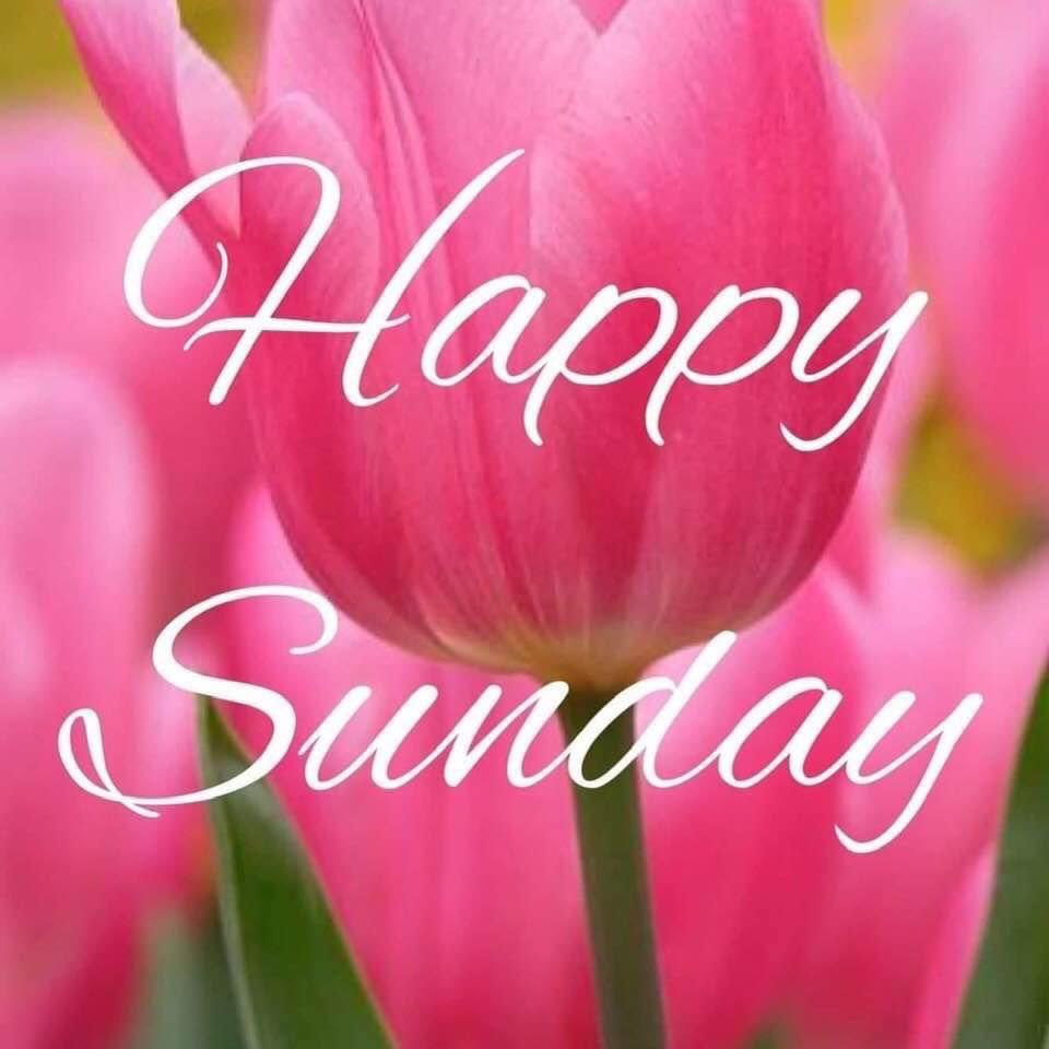 Happy #Sunday!  

#JoyTrain #Joy #Love #Mindset #Kindness #MentalHealth #Mindfulness #GoldenHearts #IAM #ChooseLove #Blessed  #SundayMorning #SundayMotivation #SundayThoughts #SuperSoulSunday #ThinkBIGSundayWithMarsha