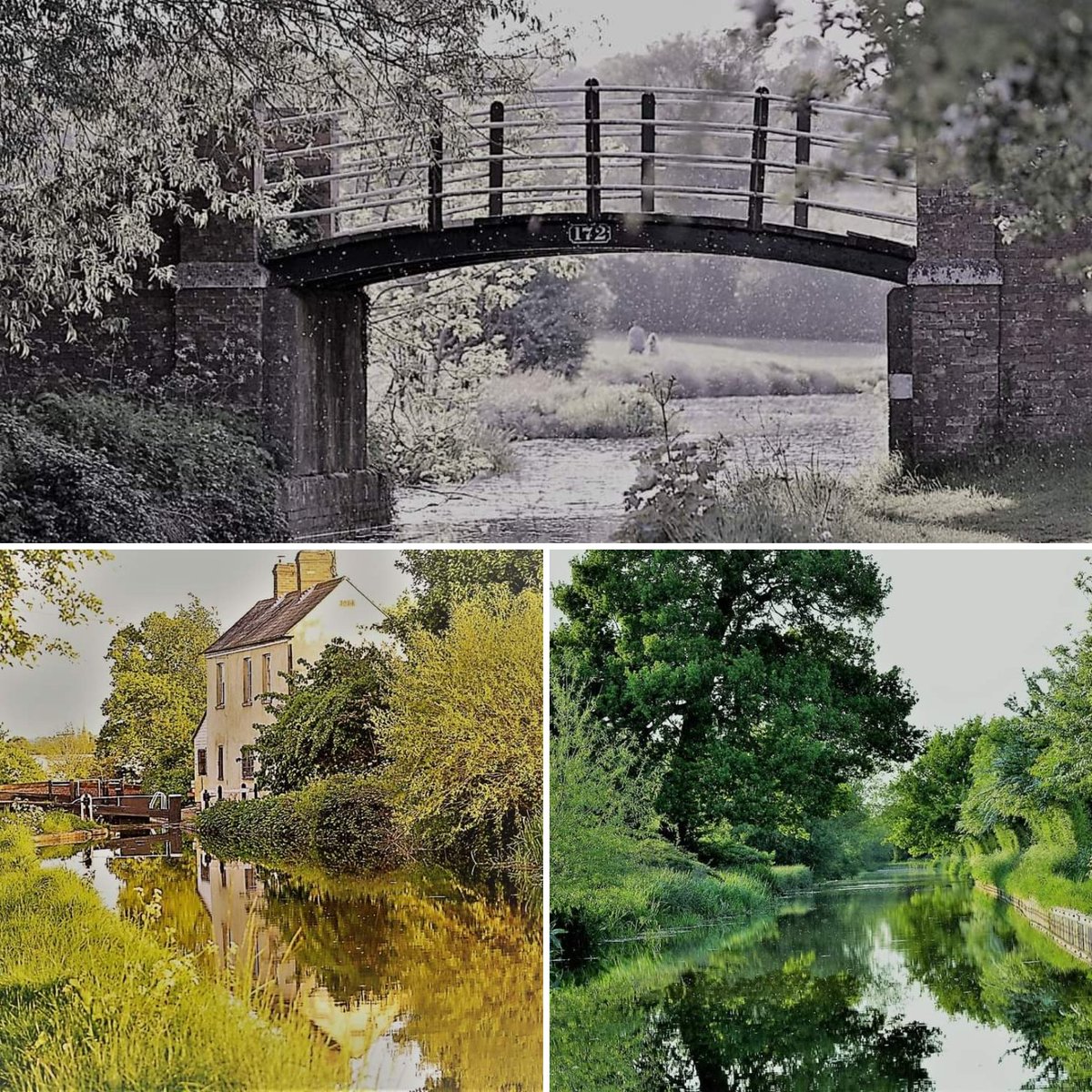watts1972's tweet photo. A few filtered pics taken 3 years ago during our permitted exercise time. #Bodicote #Banburyshire #Canal #Walks https://t.co/vuhH9HuKO6