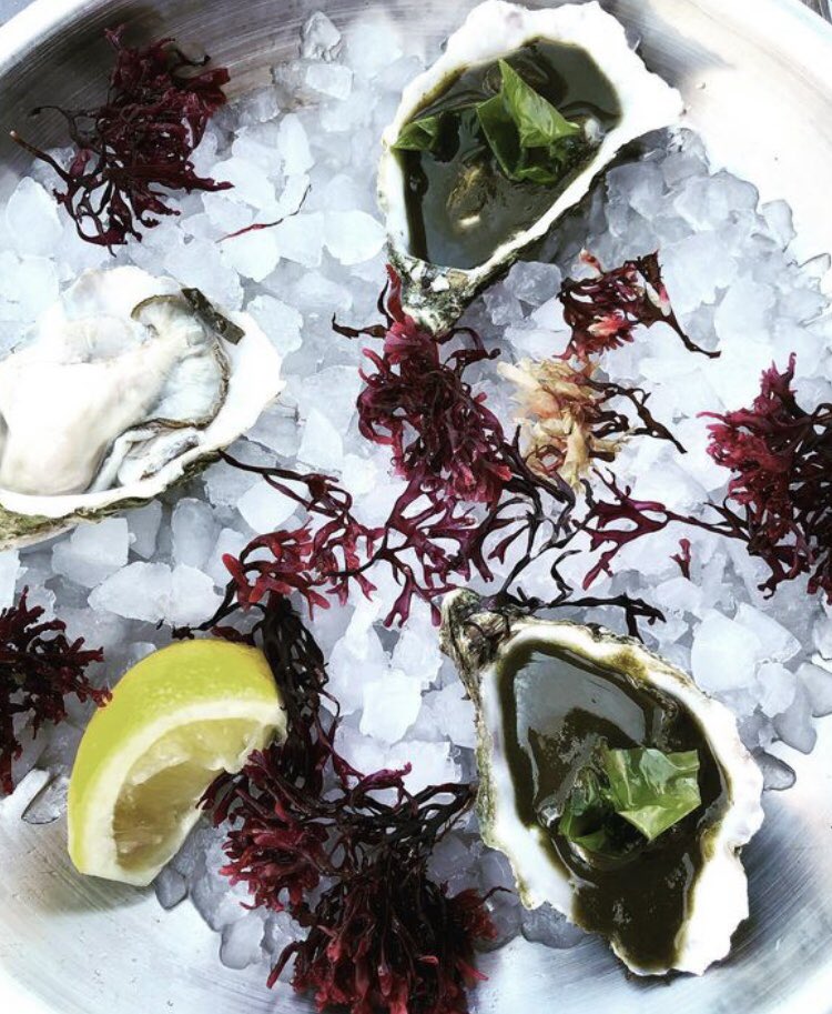 IsabelaTerroir's tweet photo. Andalucía sienta bien!!🌴🌊🐟💙

#lamillamarbella 
#espetos 
#ajoblanco 
#marbella 
#andalucia 
#almostsummer 
#alaingraillot https://t.co/uU31DRF4jT
