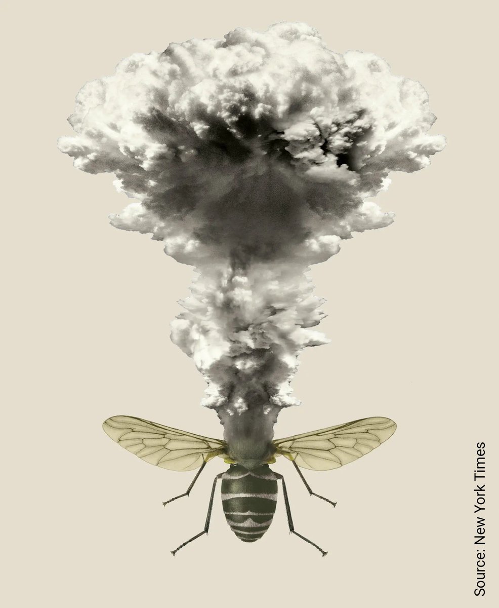 mariavivesingla's tweet photo. Avui sembla que plou i, tot i així, el regust a #canviclimàtic és cada cop més vívid. La #sequera persistent, les onades de #calor primaverals, ... us heu preguntat com ho porten els insectes? 🦋🪲🐜 D'això mateix va la meva tesi doctoral! Voleu saber-ne més?
Abro #HiloTesis 👇🏽 https://t.co/lGUiA27oij