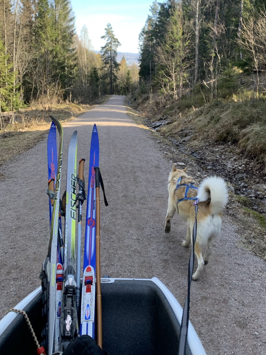 Harald Østgaard Lund tweet media