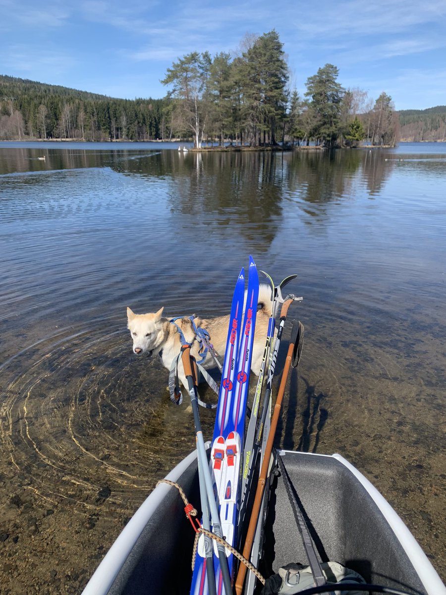 Harald Østgaard Lund tweet media
