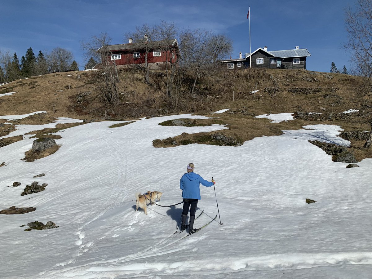 Harald Østgaard Lund tweet media