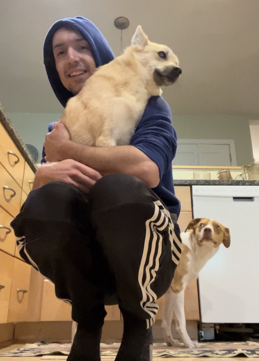ShaneScarazzini's tweet photo. this is my life now, no brain, just dog https://t.co/16WlSnejq8