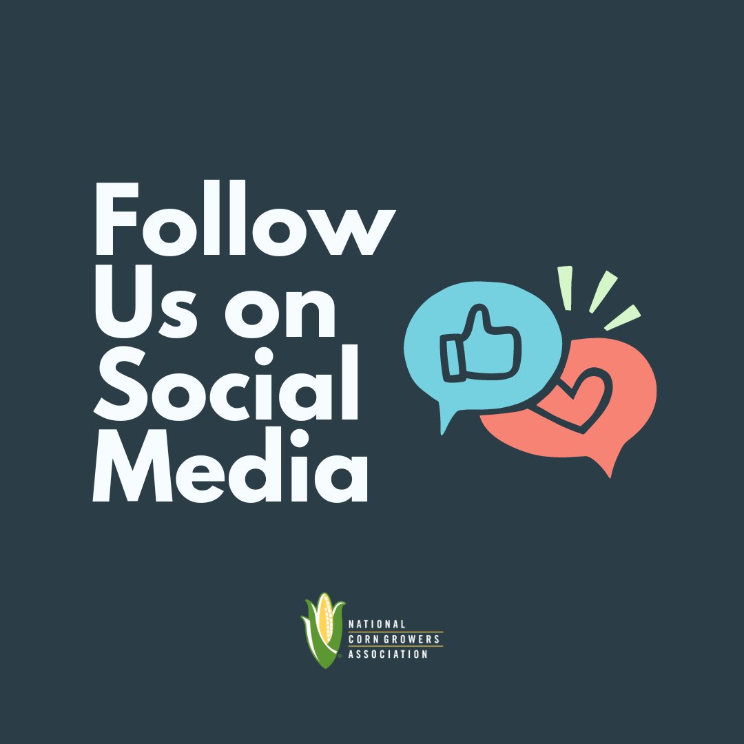 Connect with us on our other platforms! 
 
◻️ instagram.com/corngrowers
◻️ facebook.com/corngrowers
◻️ tiktok.com/@corngrowers
◻️ youtube.com/@nationalcorng…
◻️ linkedin.com/company/nation…