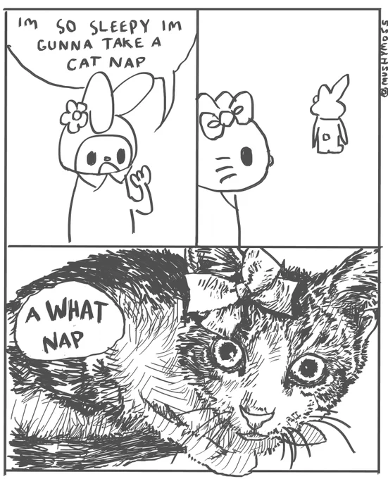 idk why i made this 