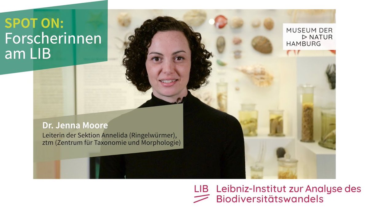 Spot on: Dr. Jenna Moore, Kuratorin für #Ringelwürmer im Museum der Natur #Hamburg. Eine wichtige Aufgabe in der Phase des menschengemachten #Massenaussterbens von Arten wichtig. New Video. youtu.be/aYvxsrTNXac
#Forschungsmuseum #biodiversity #Annelida #Meere #sea #diversity