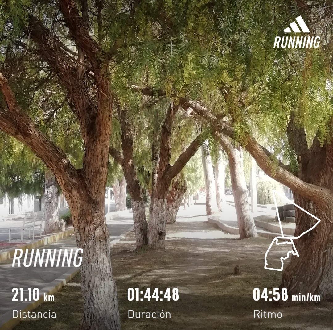 🏃‍♂️Domingo para entrenar y corrí otro medio maraton. #YoElegiCorrer #AmoCorrer #MeEncantaCorrer #Running #DomingoDeEsfuerzo #CorrerEsMiPasion #ElegiCorrer #Correr #21k #MedioMaraton #Run