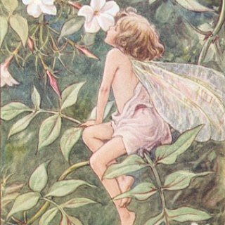♡ (@naturines) on Twitter photo 
