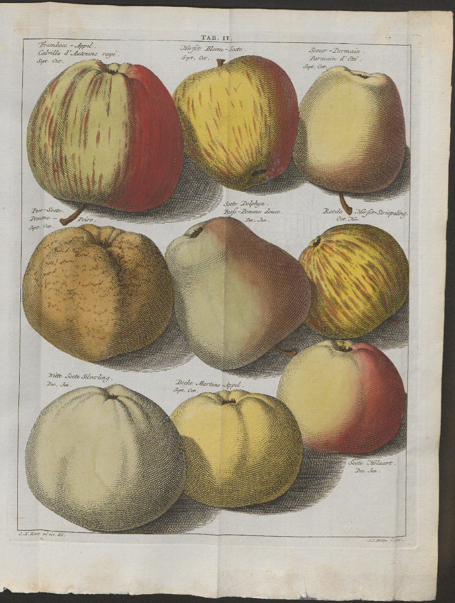 RadboudE's tweet photo. Prachtboeken te zien in het Stadhuis. Een van de 100 gebaren van de Radboud Universiteit, maandag 8 mei van 13-16 uur, Gebroeders Van Lymborchzaal. Kom bijvoorbeeld de 18e-eeuwse Pomologia bekijken: tientallen appels en peren!
@Radboud_Uni #100radboudgebaren #radboud100 https://t.co/sWW8afpYzL