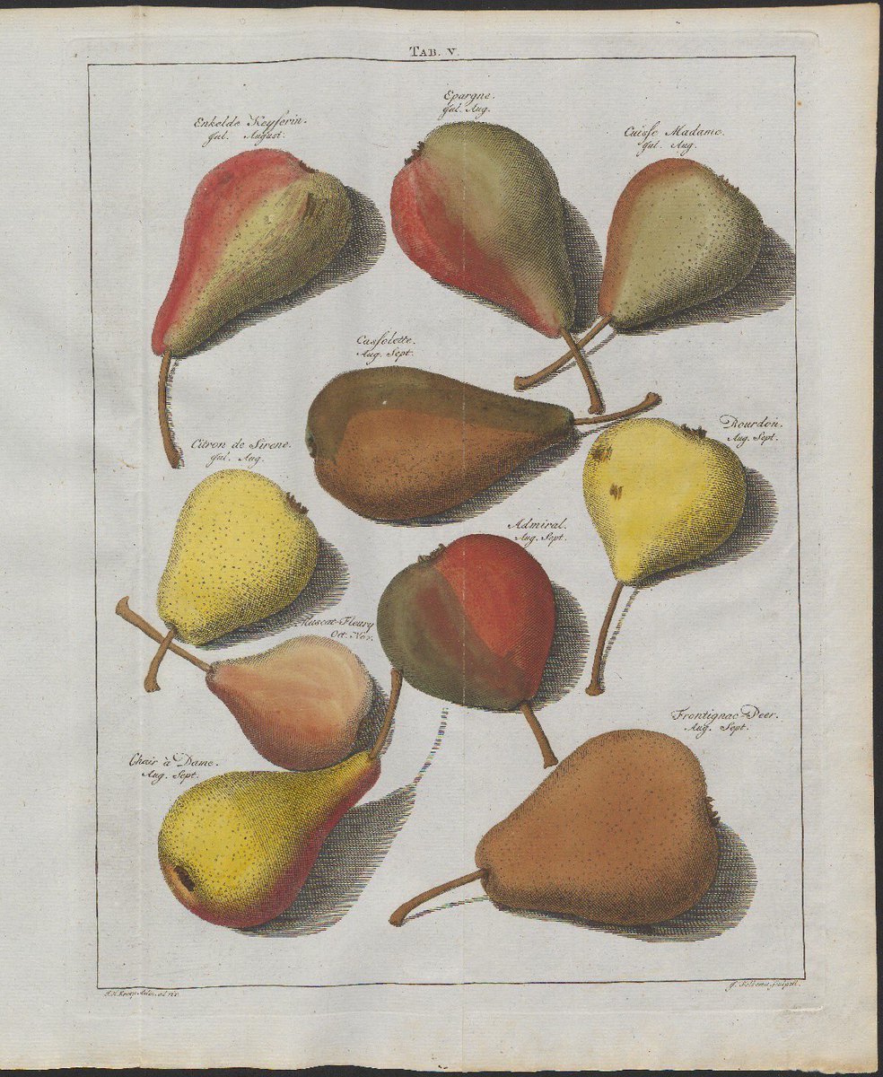 RadboudE's tweet photo. Prachtboeken te zien in het Stadhuis. Een van de 100 gebaren van de Radboud Universiteit, maandag 8 mei van 13-16 uur, Gebroeders Van Lymborchzaal. Kom bijvoorbeeld de 18e-eeuwse Pomologia bekijken: tientallen appels en peren!
@Radboud_Uni #100radboudgebaren #radboud100 https://t.co/sWW8afpYzL