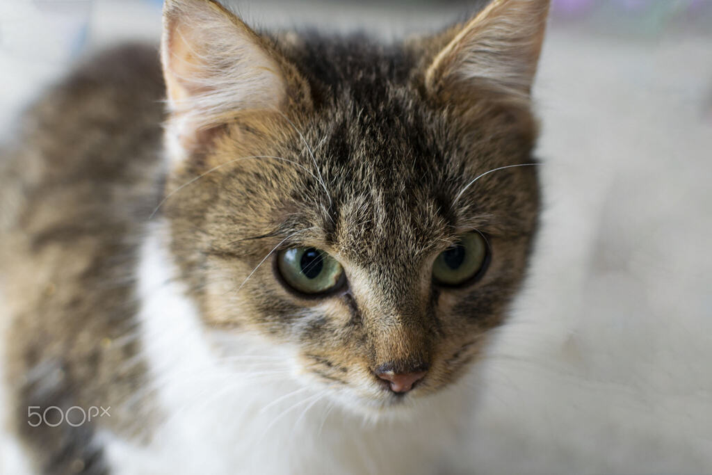 iNTeRNeT 2.0 tweet media