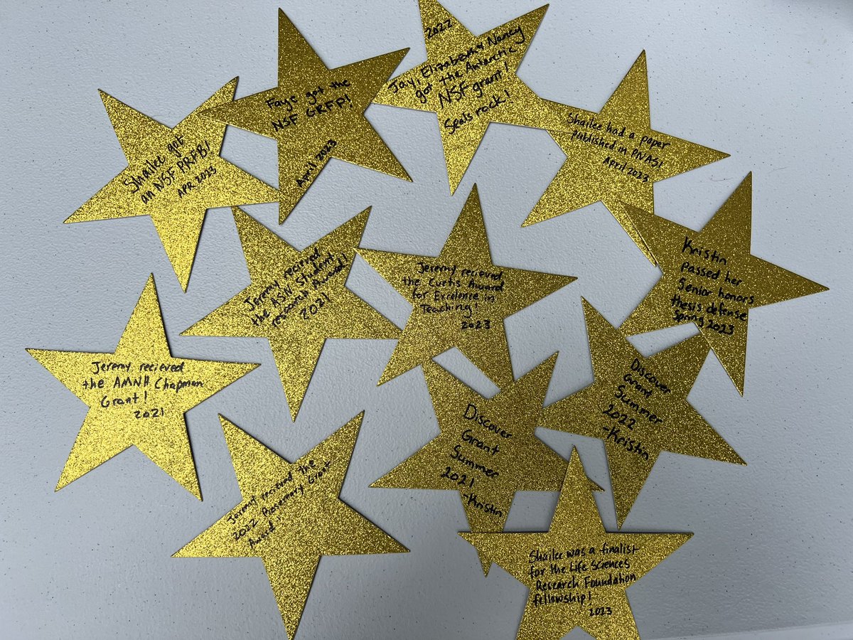 popgenchen's tweet image. Today the lab got together for brunch and to start new lab traditions for celebrating both our successes (the win wall 🌟) and failures (rejection piñata 🪅) over the past year.
whacking a piñata made from shredded rejection letters is SUPER cathartic. Highly recommend.