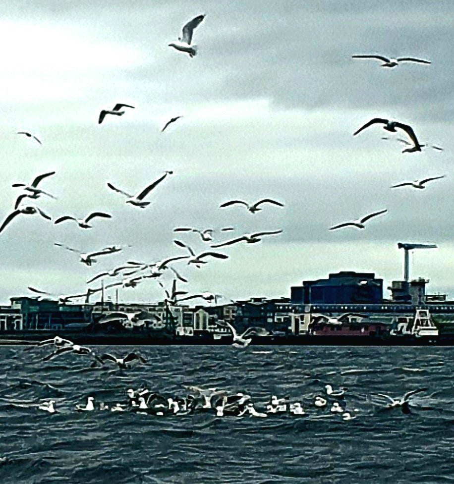 Dawn_Galway's tweet image. The examiners have arrived 💙 Wish me luck 🙏 #galwaybay #powerboat