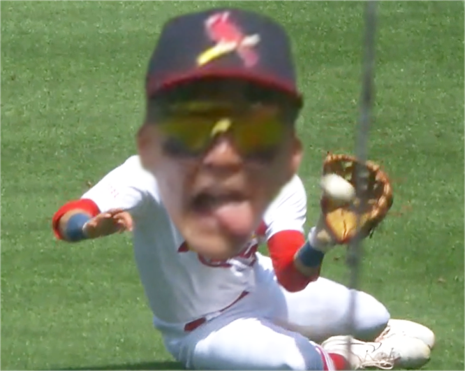 cardinalsgifs's tweet photo. N👅👅T https://t.co/4uvHjUE4tt