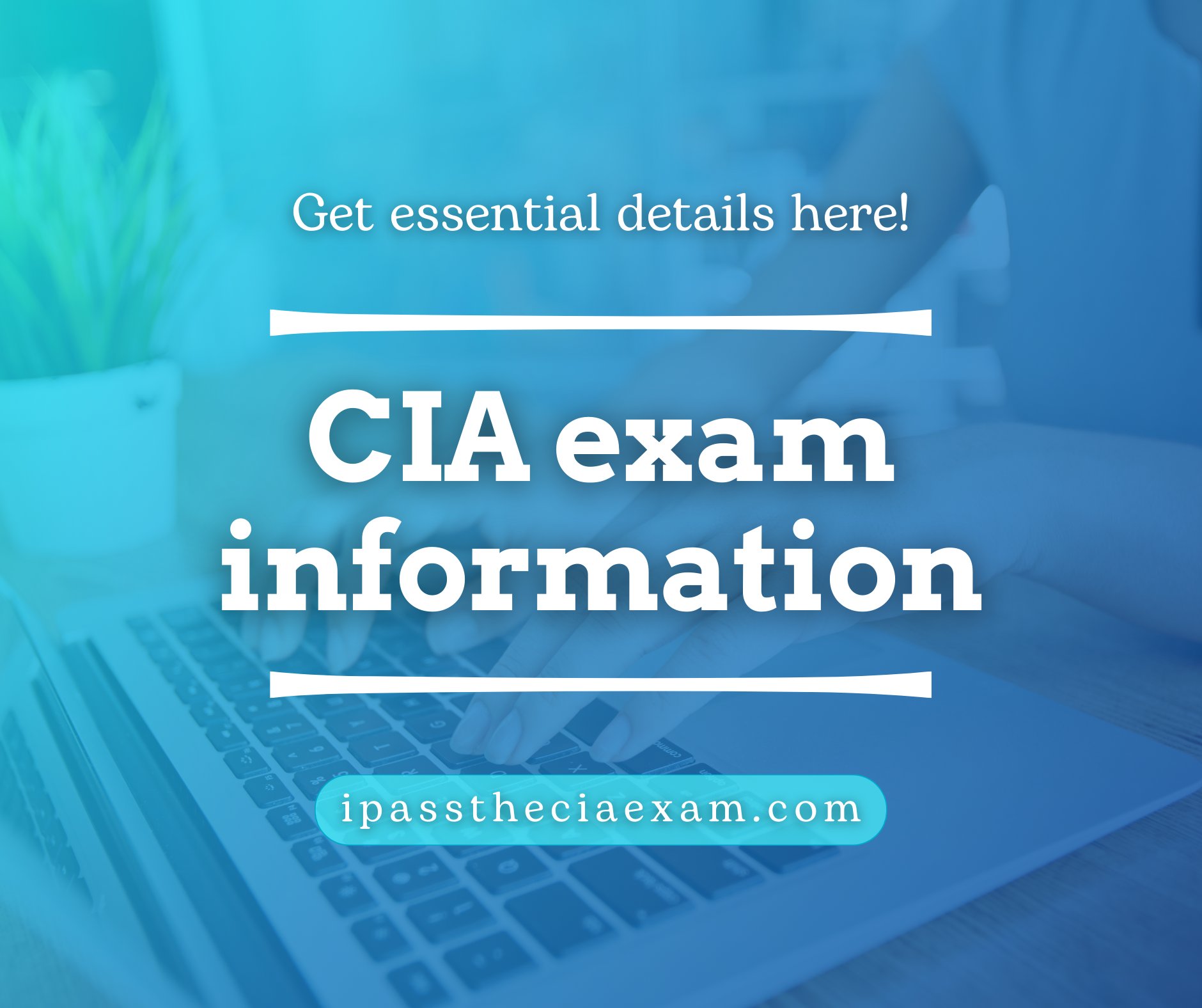 IIA-CIA-Part3 Testfagen