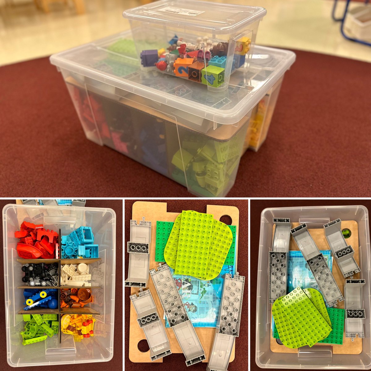 Candace Taylor-Weber tweet media