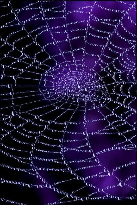 hauntedreigns's tweet image. 