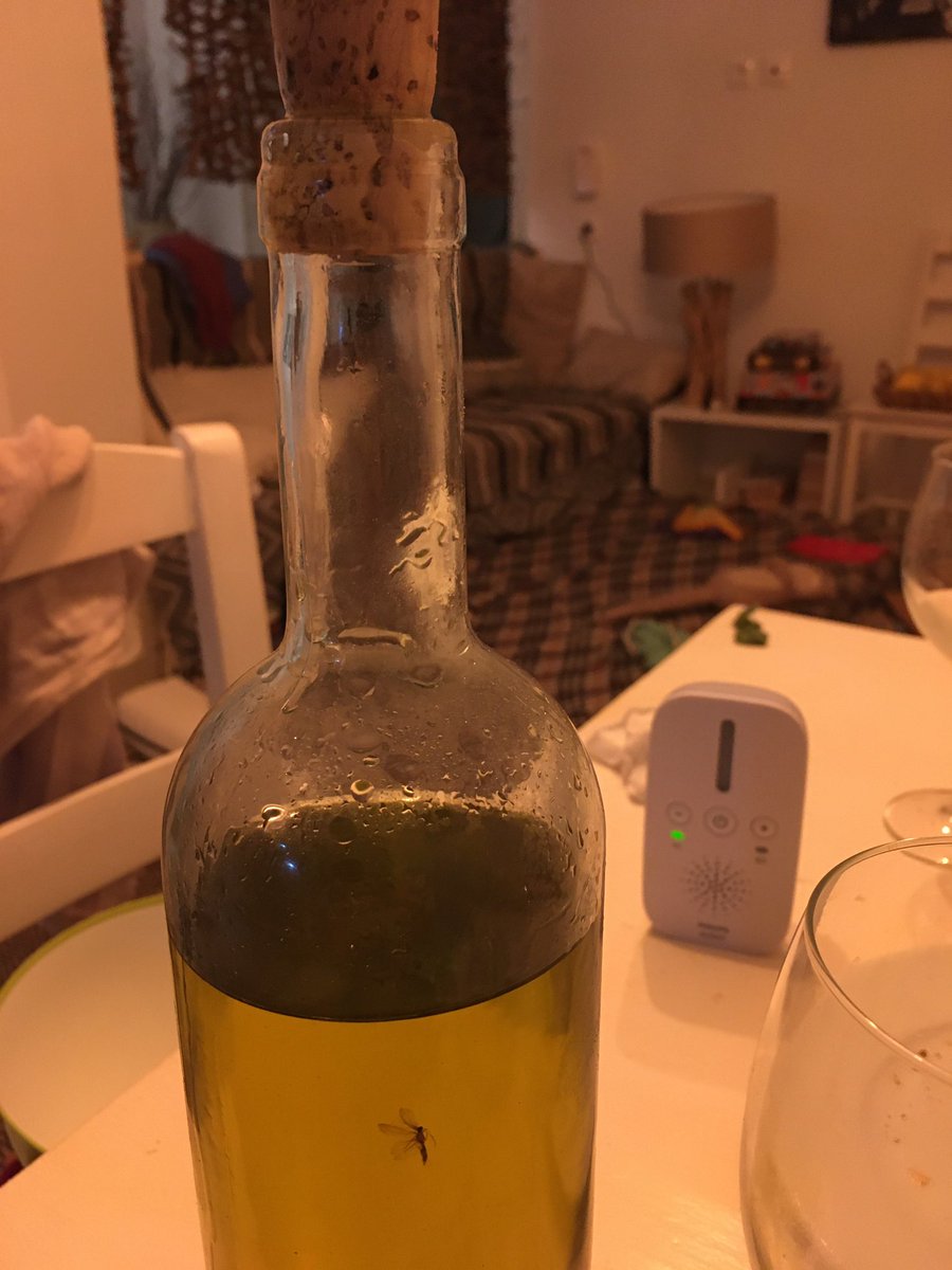 Kann es einen schöneren Tod geben, als in einer griechischen Olivenölflasche zu landen? Vielleicht in einem selbstgemachten Limoncello? 😬🤔