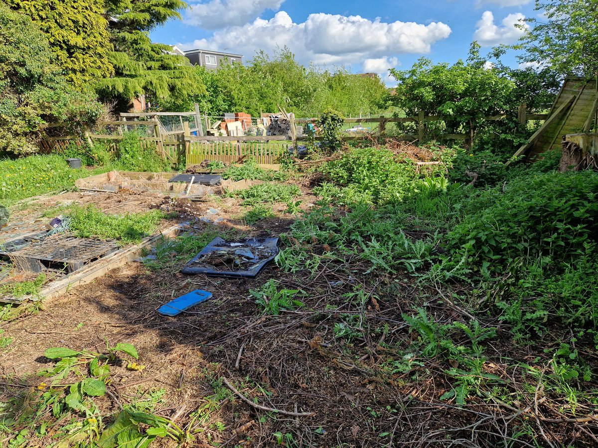 sliceandserve's tweet photo. Landlord been in hospital for week... stressful and worrying. Day clearing paddocks & smashed greenhouse, building bonfire, thought I'd have wee *contained* fire as I shldnt be unsupervised with matches. #firegoddess #hestia #brigid #vesta
#shegoesbymanynames
#takingamoment https://t.co/l3D0cKIl4v