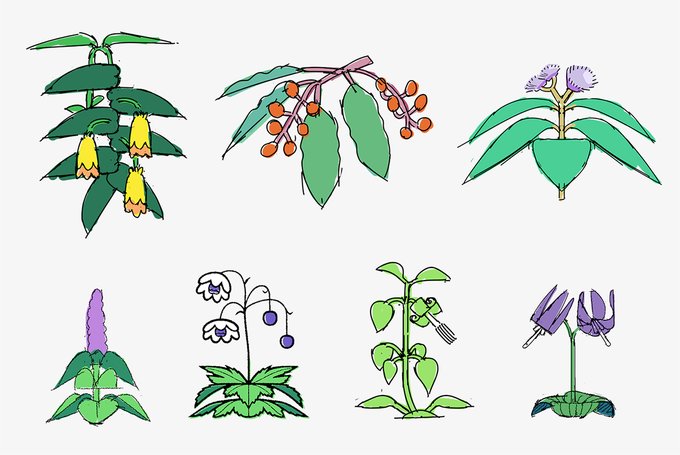 ディフォルメ植物ラフ。