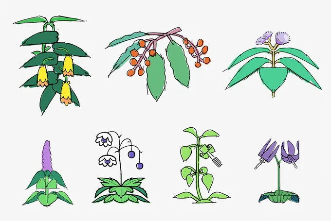 ディフォルメ植物ラフ。