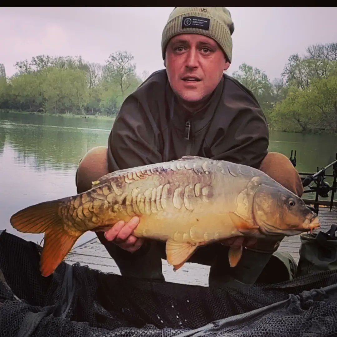 First fish of the year joined a local club water and fished a 24hr sesh and had 3 mirrors around 8/10 lb and lost one.roll on the next sesh #getonthebank