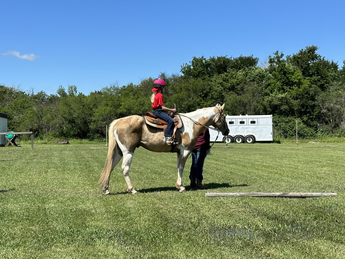 MrsAPetry's tweet photo. From horses one weekend to day hikes and archery the next. I love the opportunities @GirlScoutsGSSJC gives for girls to get outdoors and explore their interests. #SpecialInterestGroups #SIGS #STARS #Backpacking #ArchersInMotion #AIM #GirlScoutLeader #ArcheryCoach https://t.co/SXMWODNbsd