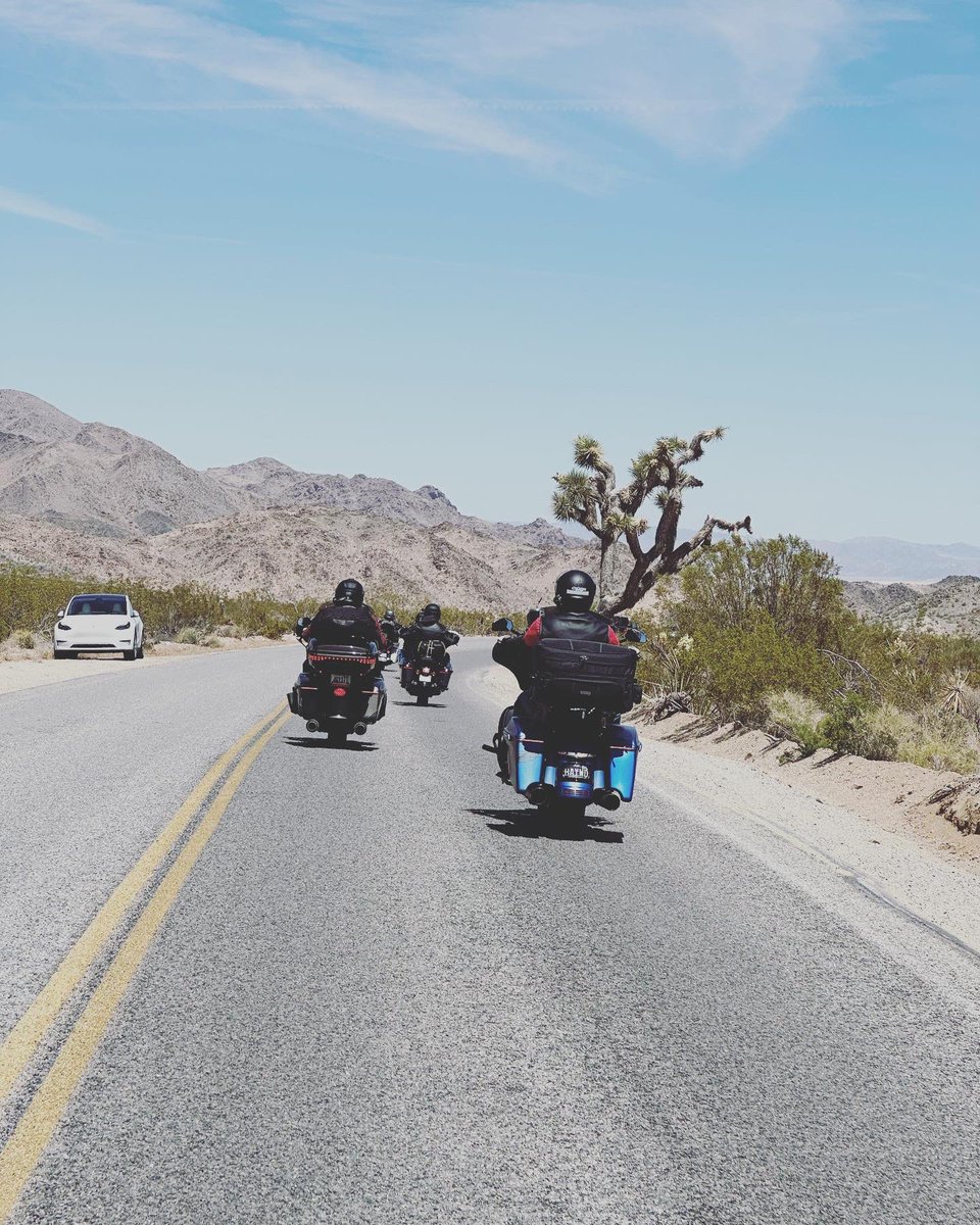 Today Rollin’ through Joshua Tree today. Day 6 of our 10 day journey. #sfmc ****