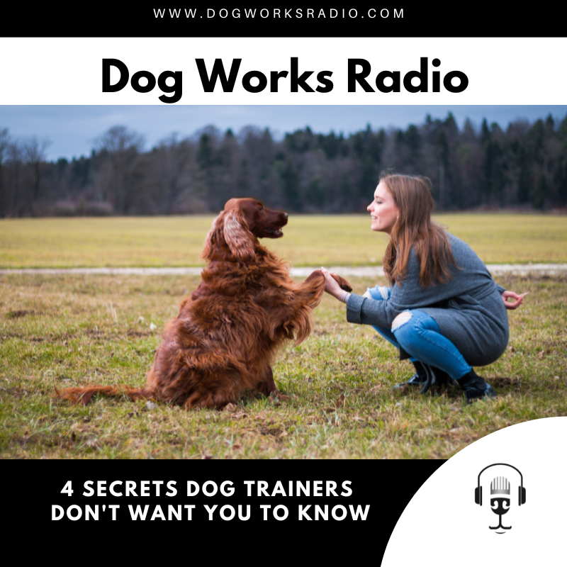 [#Podcast] @micheleforto gives you 4 secrets #dogtrainers don't want you to know! 

#dogpod dogworksradio.libsyn.com/4-secrets-dog-…