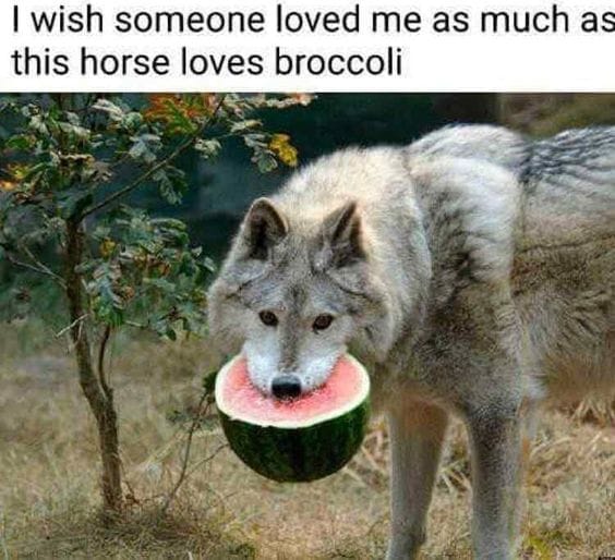 JDoodlin's tweet photo. I'm a horrible person to be around, basically 😂

Sorry, @bigredsnackfoam 

(So, not sorry.) https://t.co/qeVSKa3Ii8