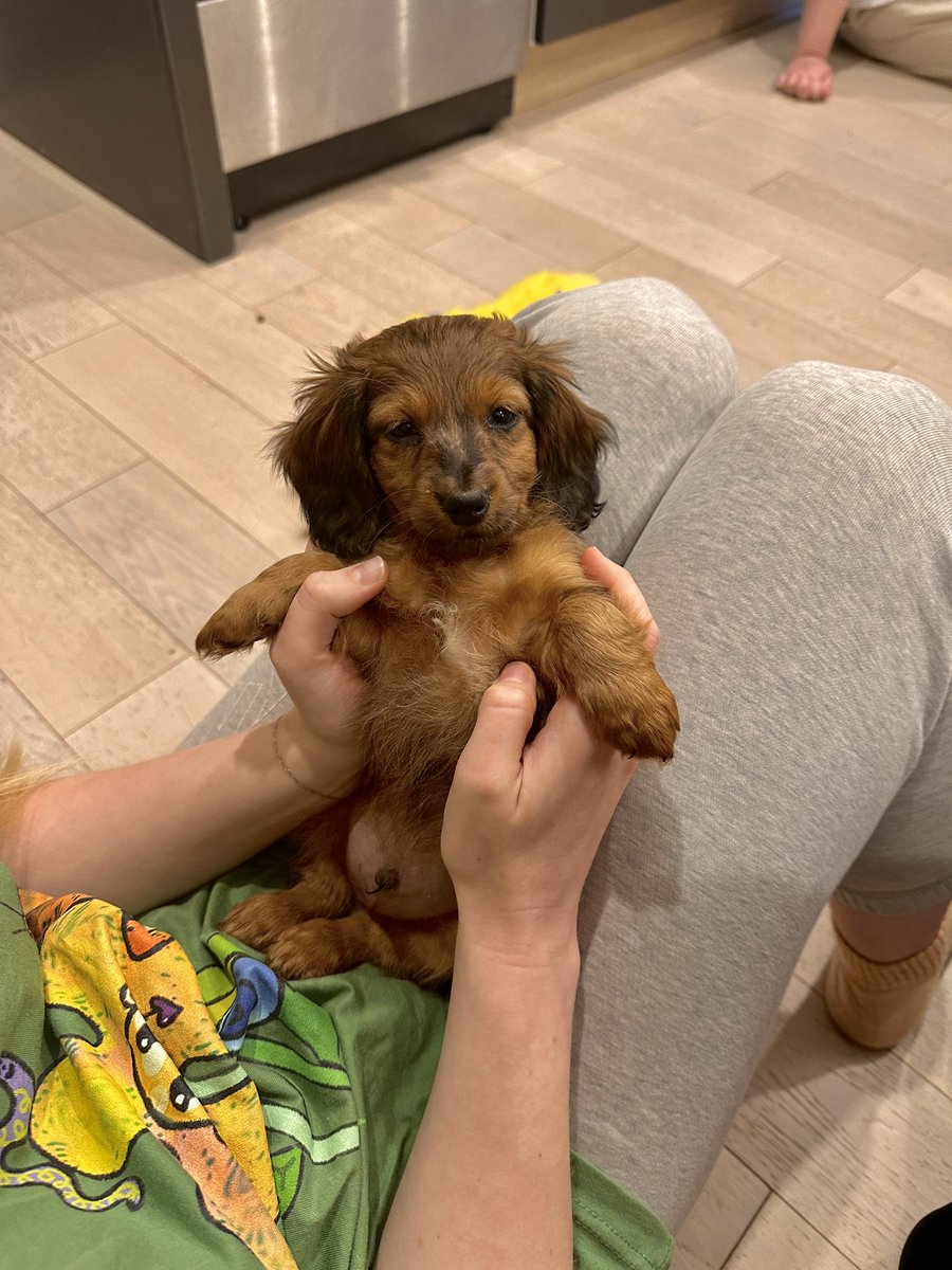 hazelv's tweet photo. Enamorada de mi Pablo 🥹❣️ https://t.co/SZfJWPkPRy