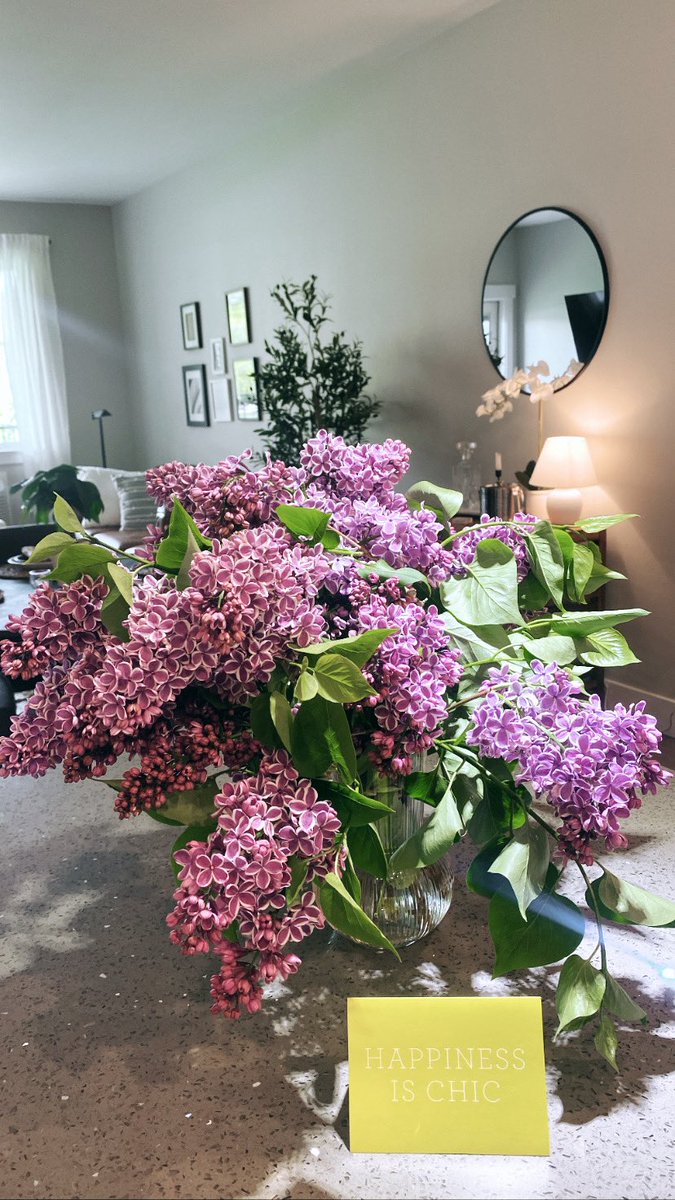 sofia aizpuru tweet media