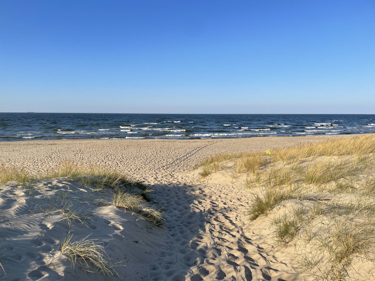 Wyspa_pl's tweet photo. Piękna plaża na #WyspaSobieszewska. Wejście nr 14. Bądźcie ostrożni stąpając po piasku w tym miejscu. Tuż obok znajduje się gniazdo sieweczki obrożnej, oznaczone wbitymi w piasek patyczkami. Nie puszczajcie w tym miejscu luzem waszych pupili #ilovegdn #sobieszewo #plażasobieszewo https://t.co/S8s7MT593r