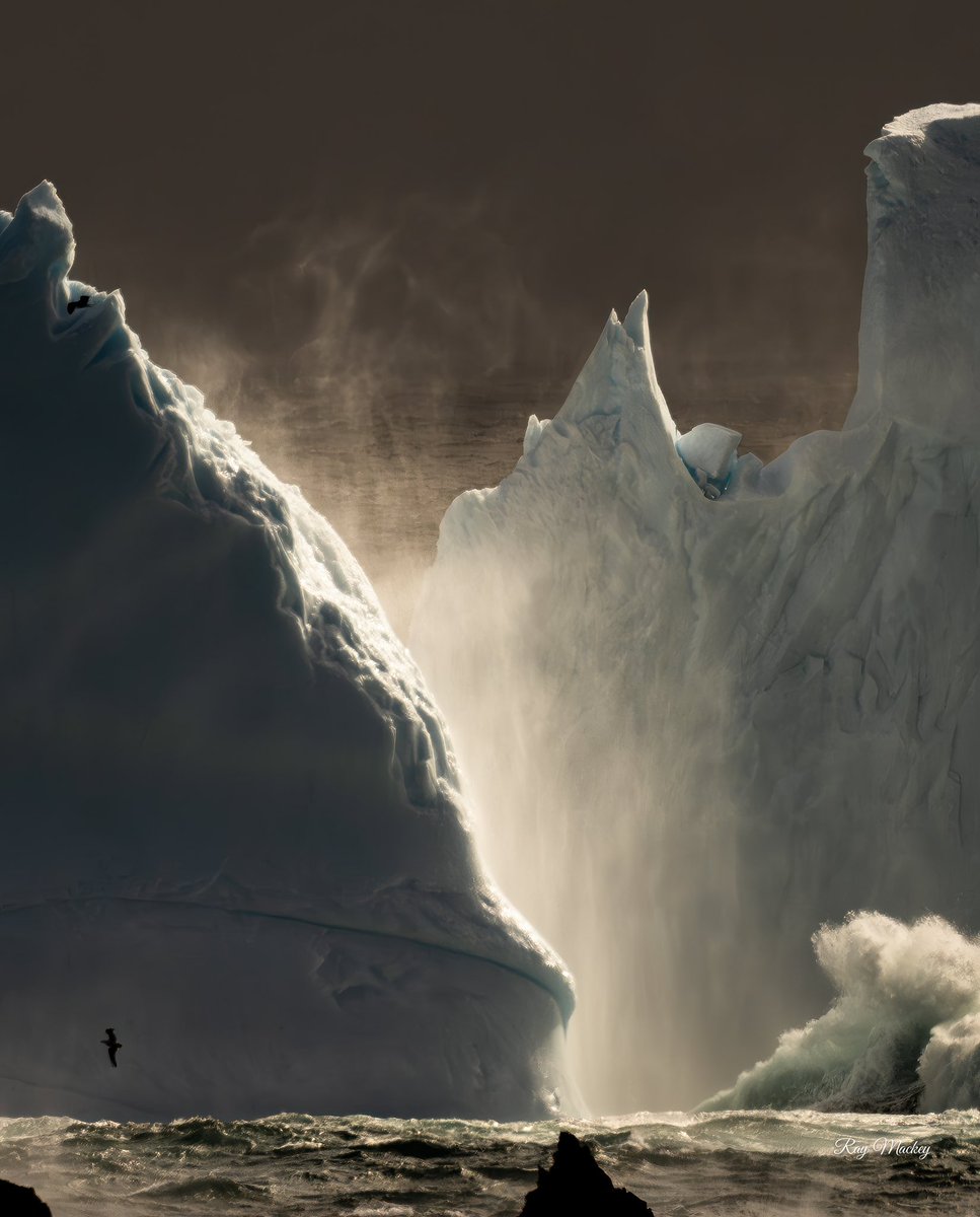 Ray Mackey Photo tweet media