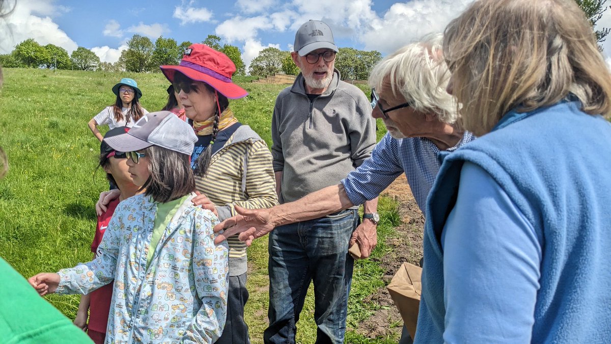 Lovely sowing in Everton Park today.