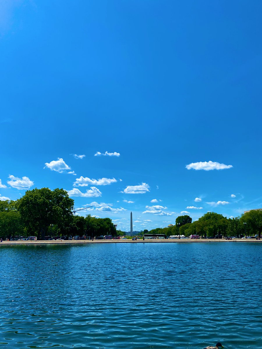 Adrian Torres tweet media