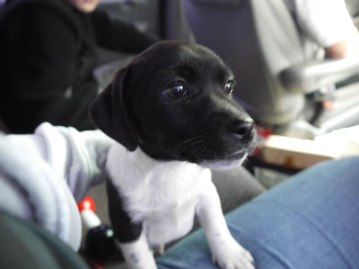 ardner 🌙 tweet media