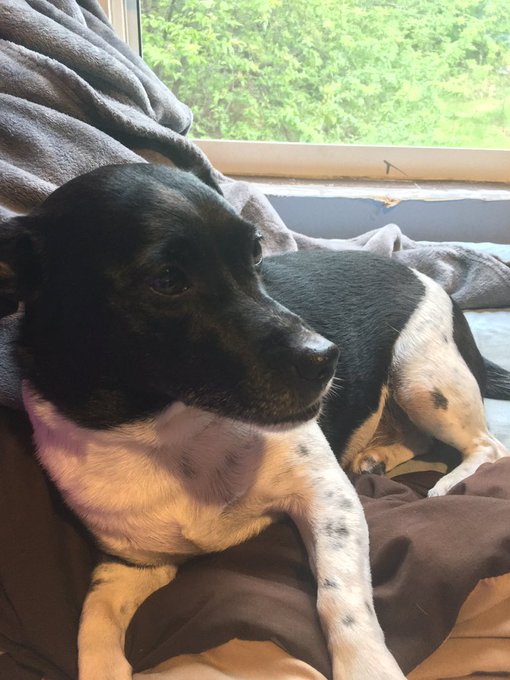 ardner 🌙 tweet media