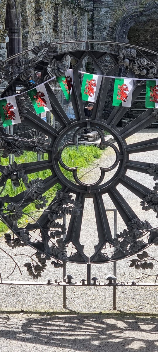 walkermark67's tweet image. Lovely day out