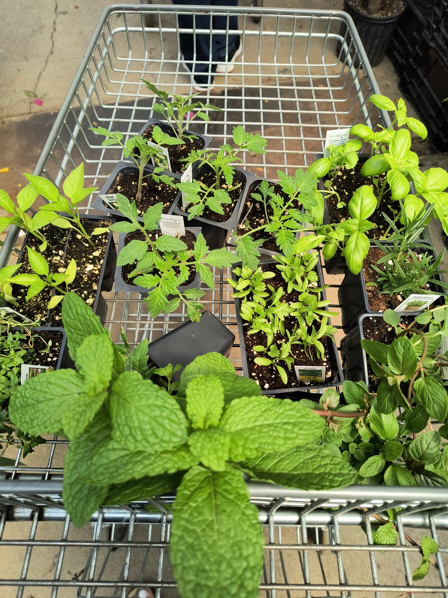 Christina Bradley tweet media